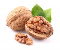خواص داروئی گردو - گردو از نظر طب قدیم ایران گرم و خشک است