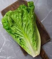 کاهو: سرد و تر.